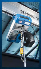 Crane Hoists | Hoist Service &amp; Inspections